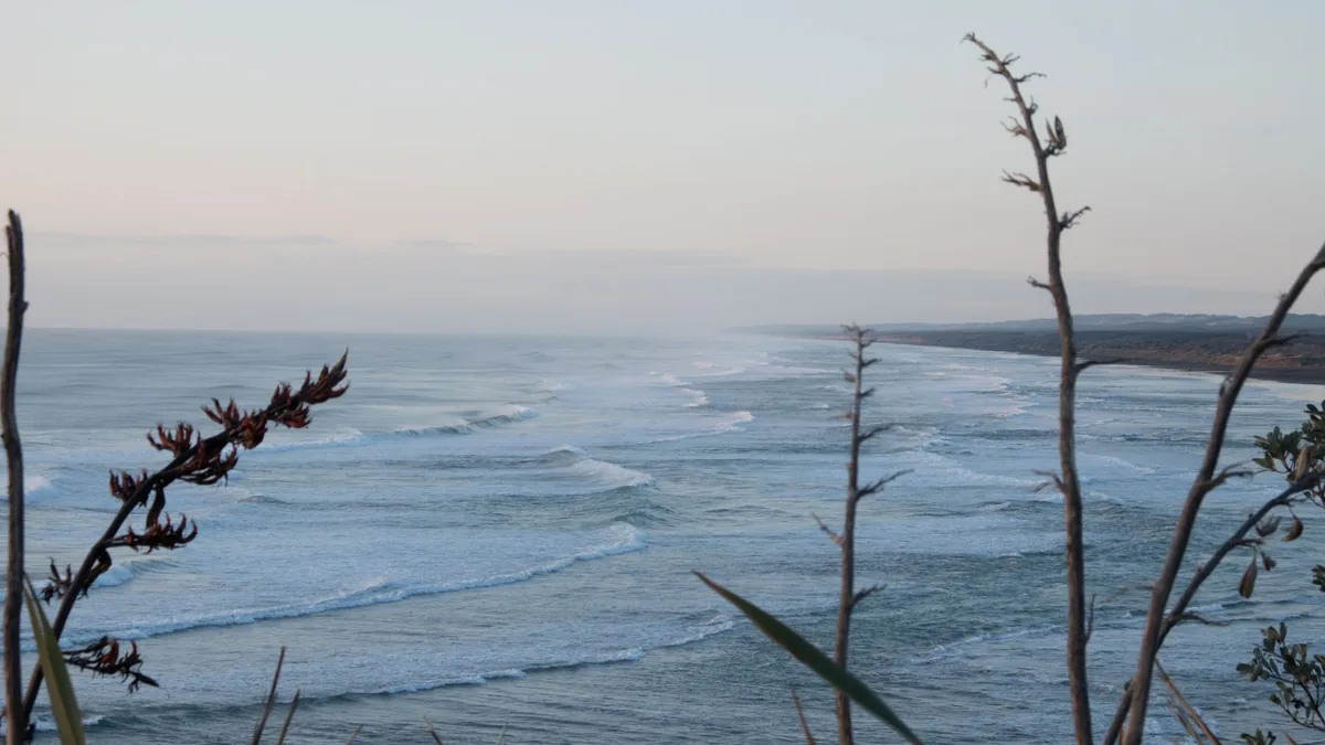 Tranquil dawn seascape at Auckland's coastline, showcasing gentle waves and coastal greenery.